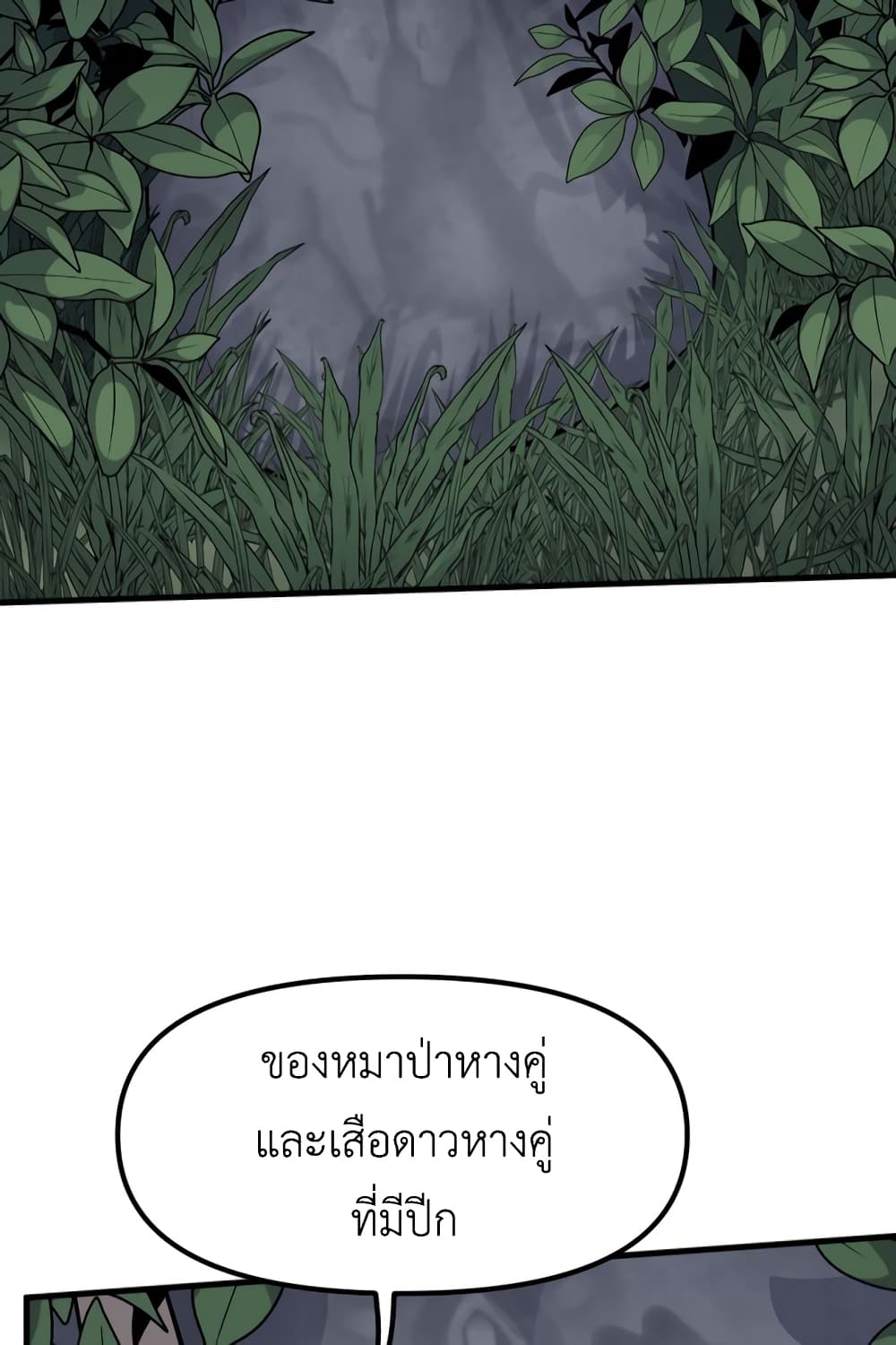 Lost Domain 26 28