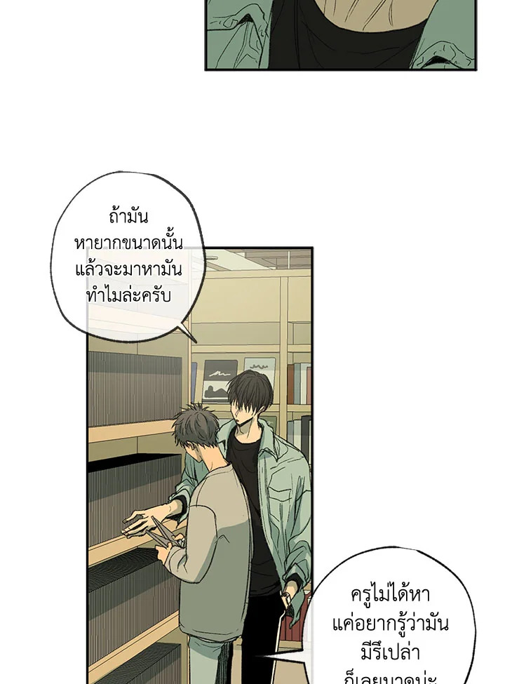 The Shape of Sympathy 42 09