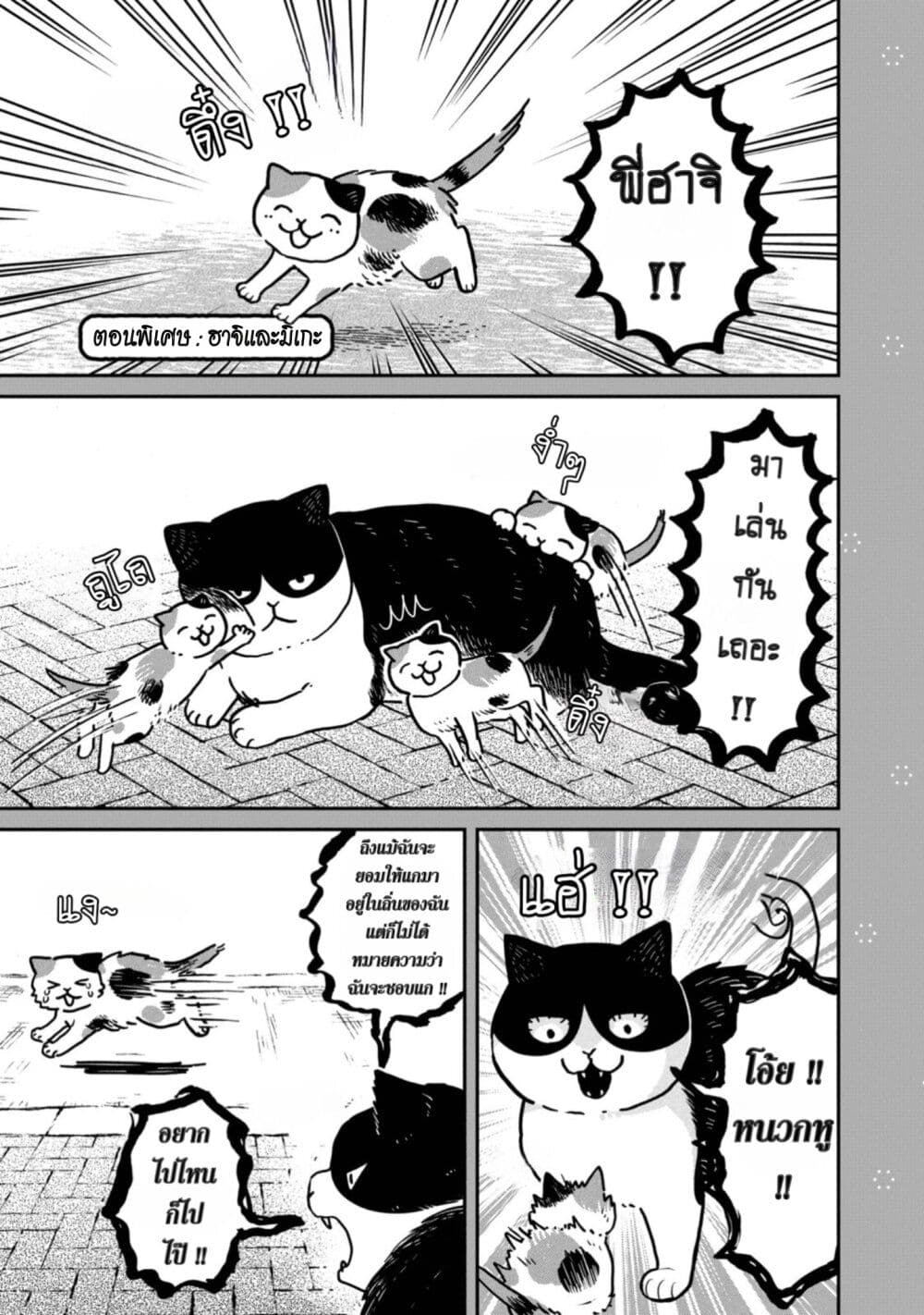 Tsureneko – Maruru to Hachi ตอนที่ 3.5 (3)
