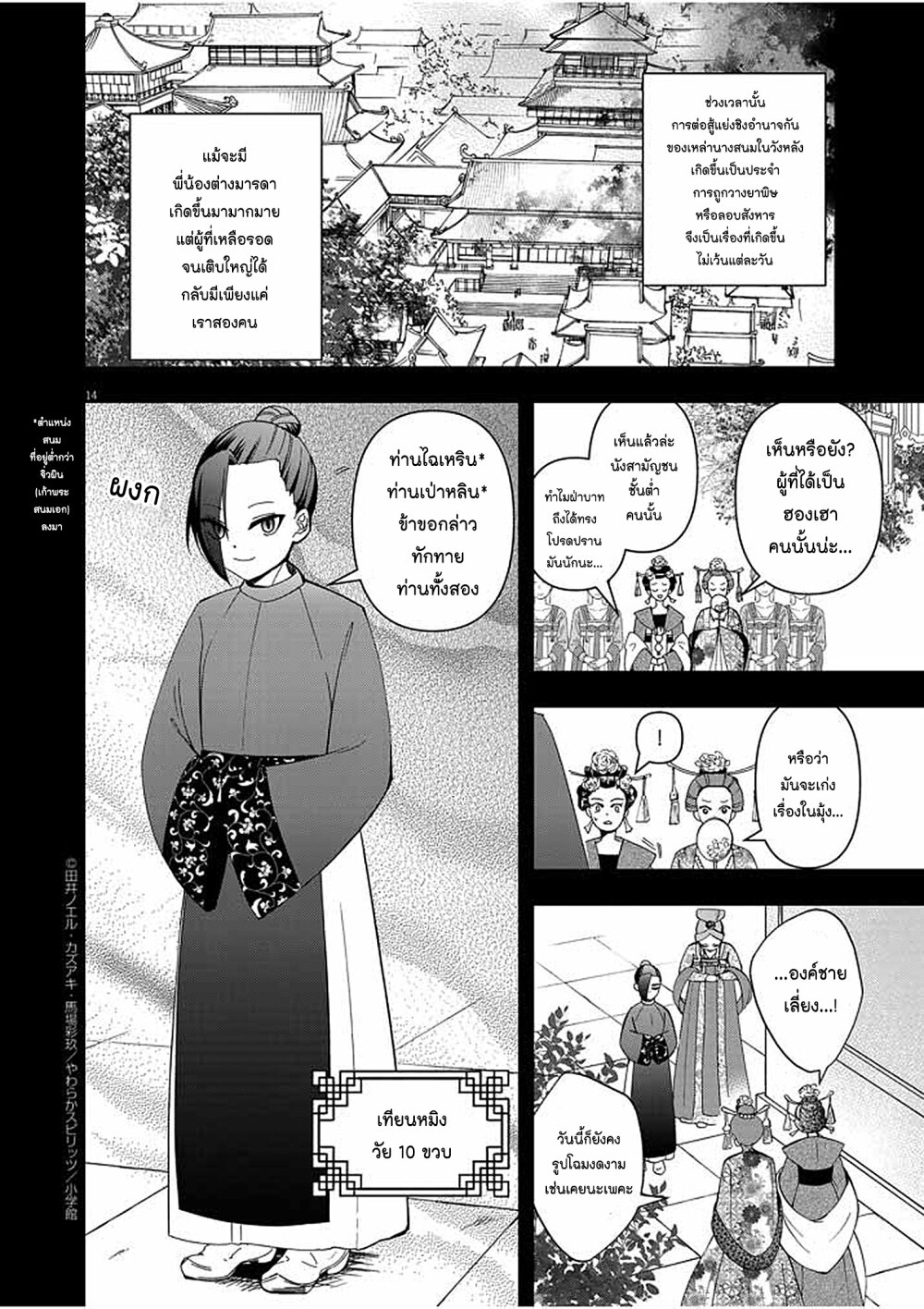 Osaka Madam 16 14