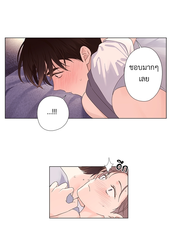 4 Week Lovers 46 32