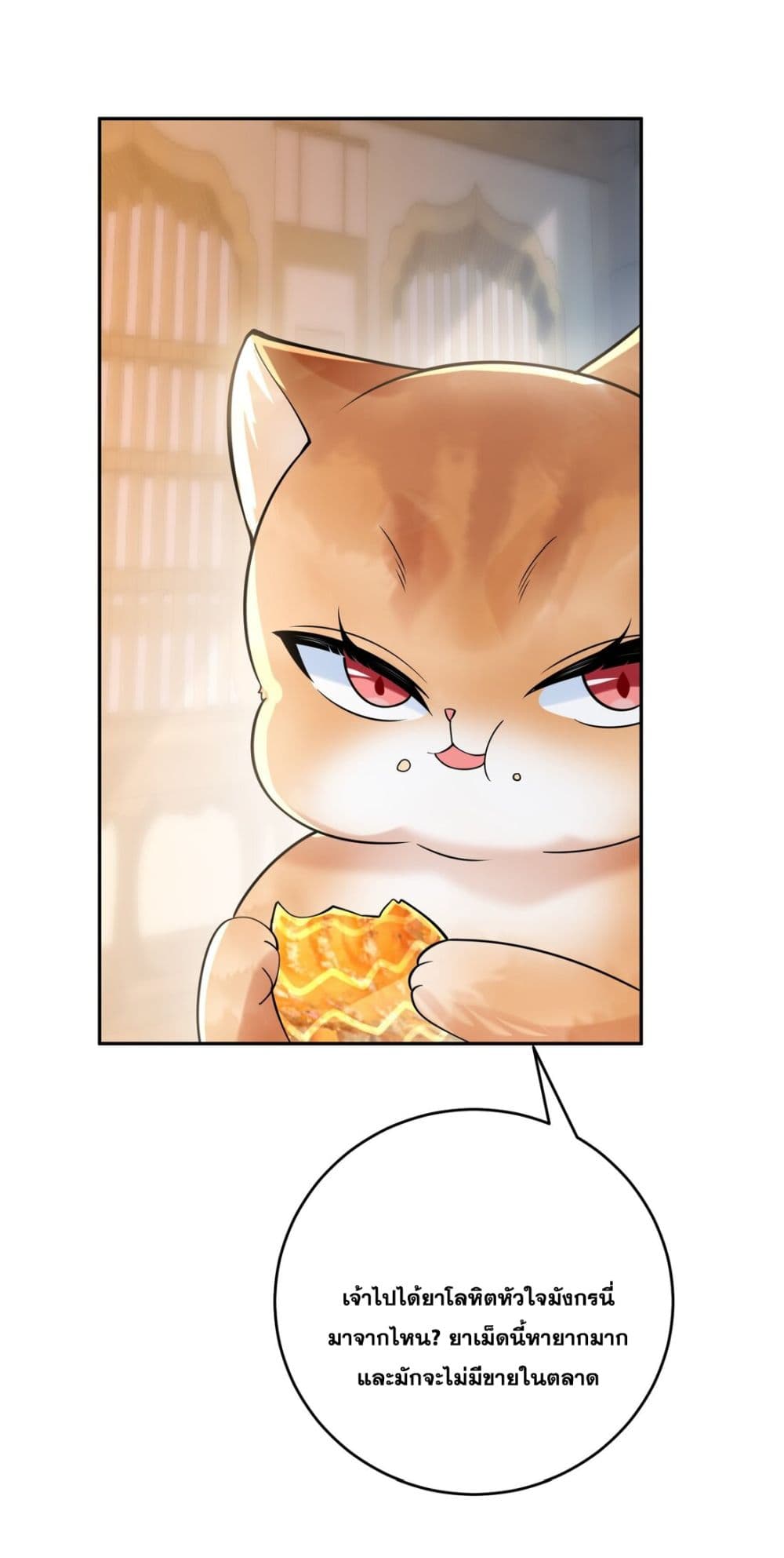 God level Contract Start With a Cat 12 21