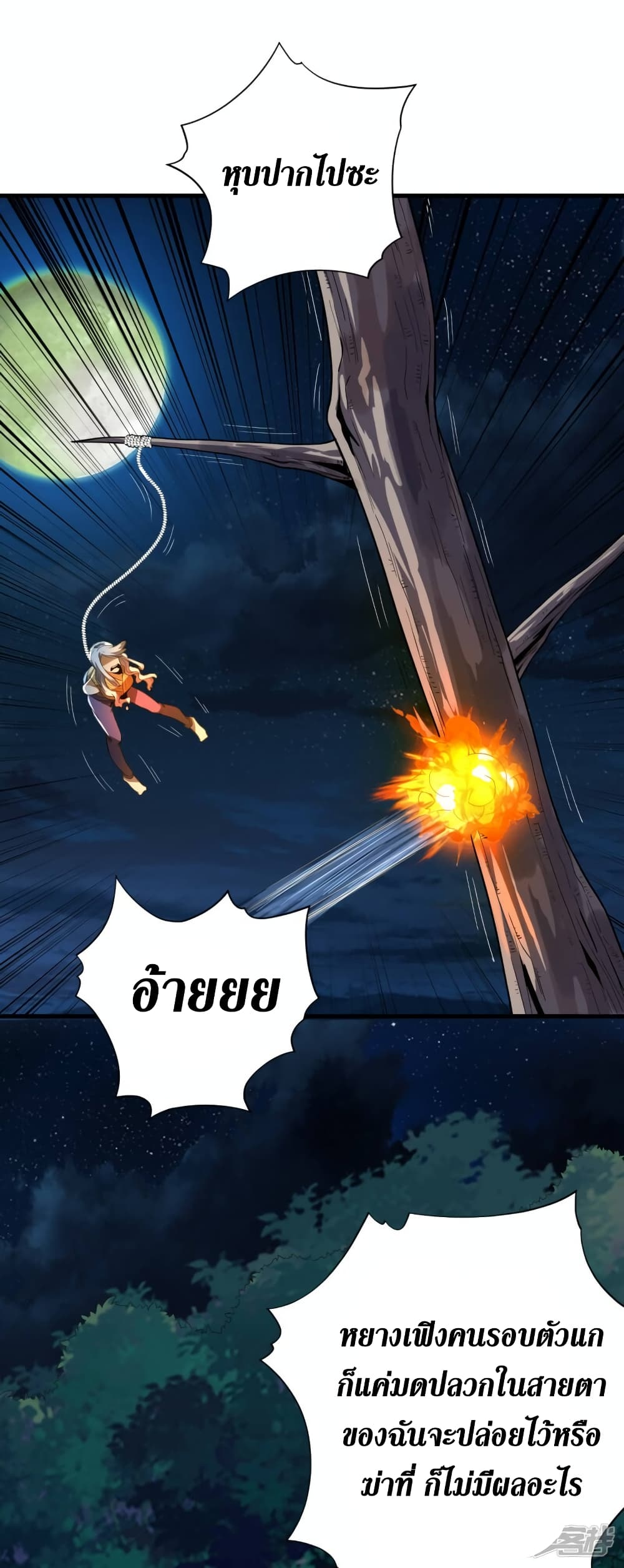 Wang Pai Shen Yi 68 04
