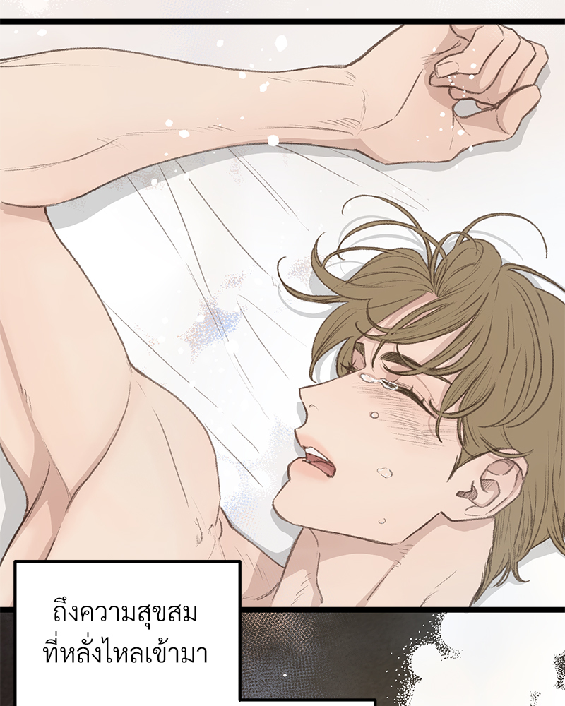 เน€เธเธ•เธซเนเธฒเธกเธฃเธฑเธเธเธเธฑเธเน€เธเธ•เนเธฒ 46 077