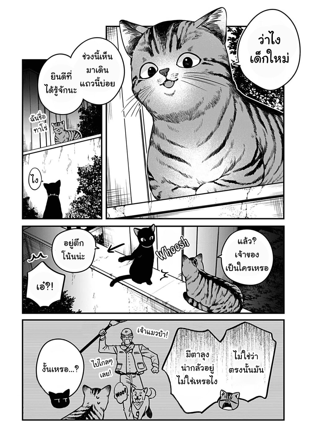 Mi chan wa Kawaretai 5 (3)