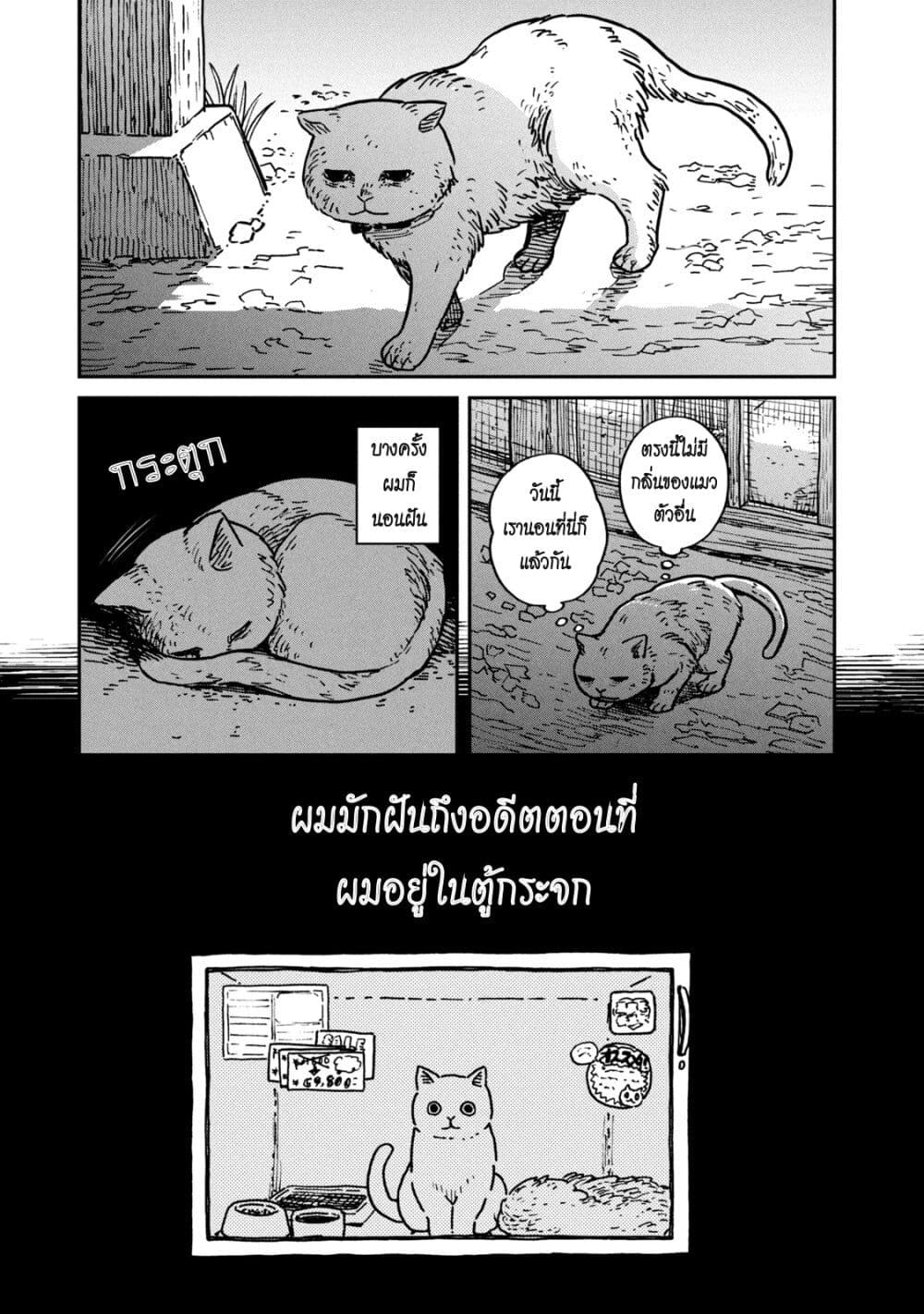 Tsureneko – Maruru to Hachi 1 12
