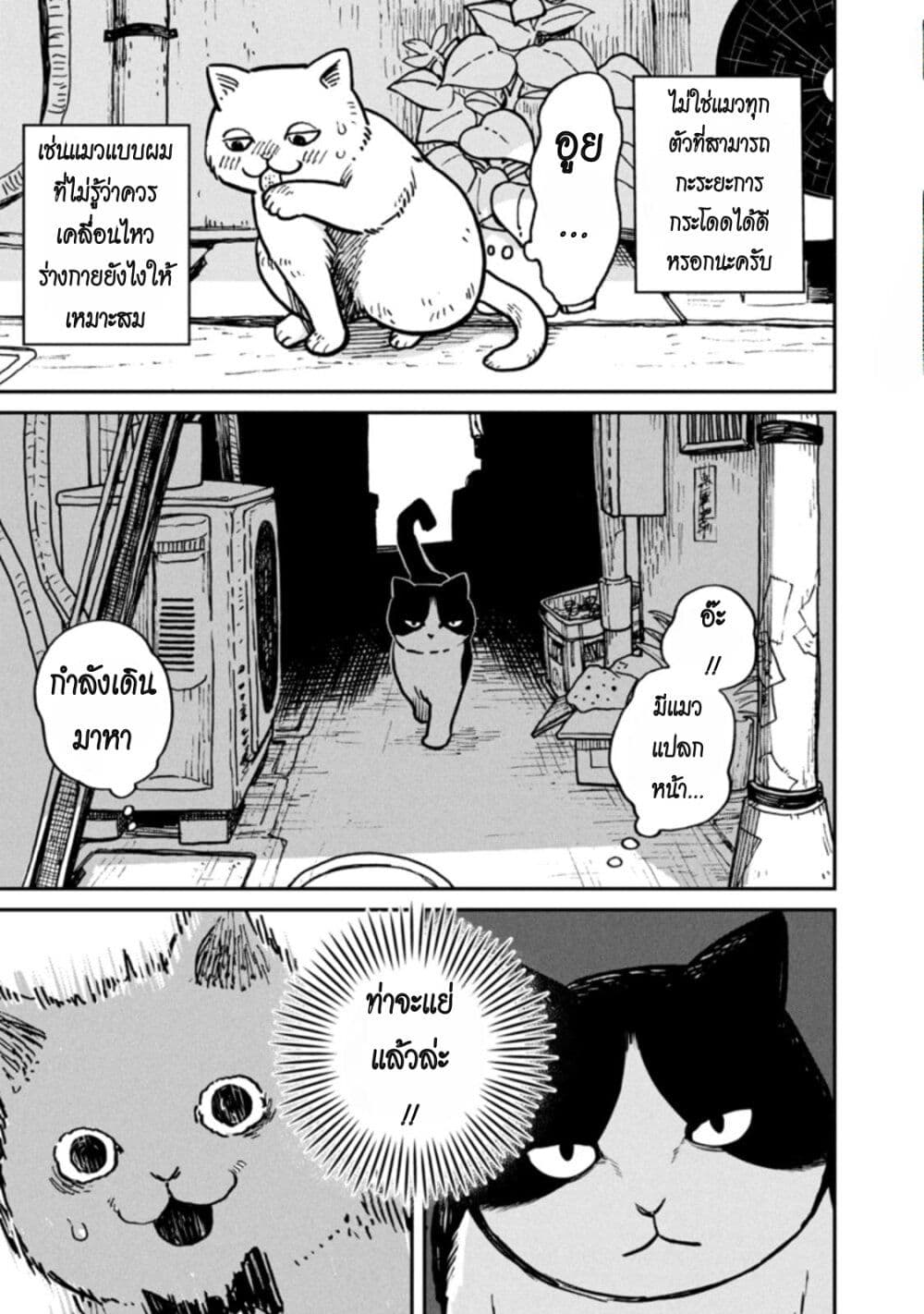 Tsureneko – Maruru to Hachi 1 04