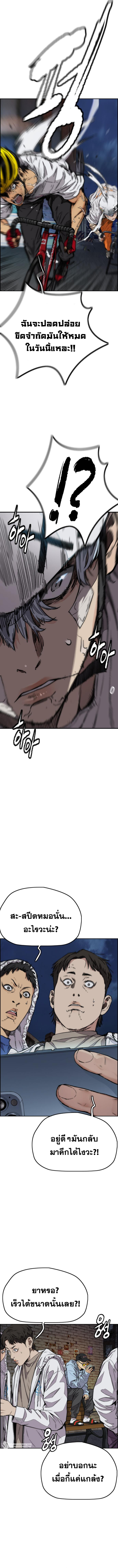 Windbreaker 59 (15)