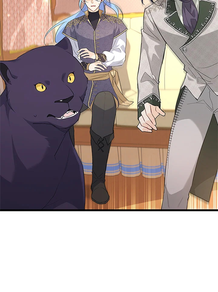 The Symbiotic Relationship Between a Panther and a Rabbit 80 061