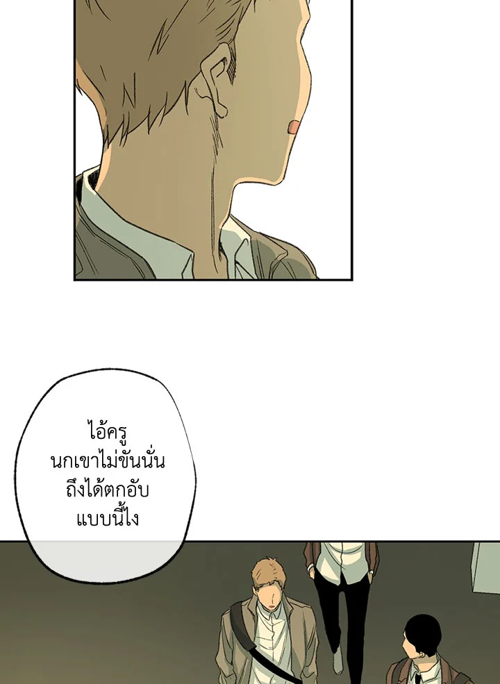 The Shape of Sympathy 52 22