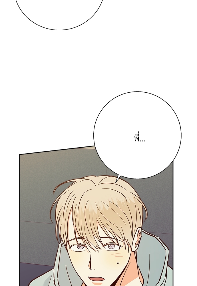 เธฃเนเธฒเธเธชเธฐเธ”เธงเธเธฃเธฑเธ 24 เธเธก 45 41
