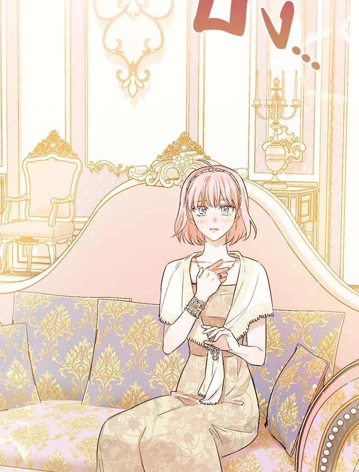The Princess' Double Life 27 100