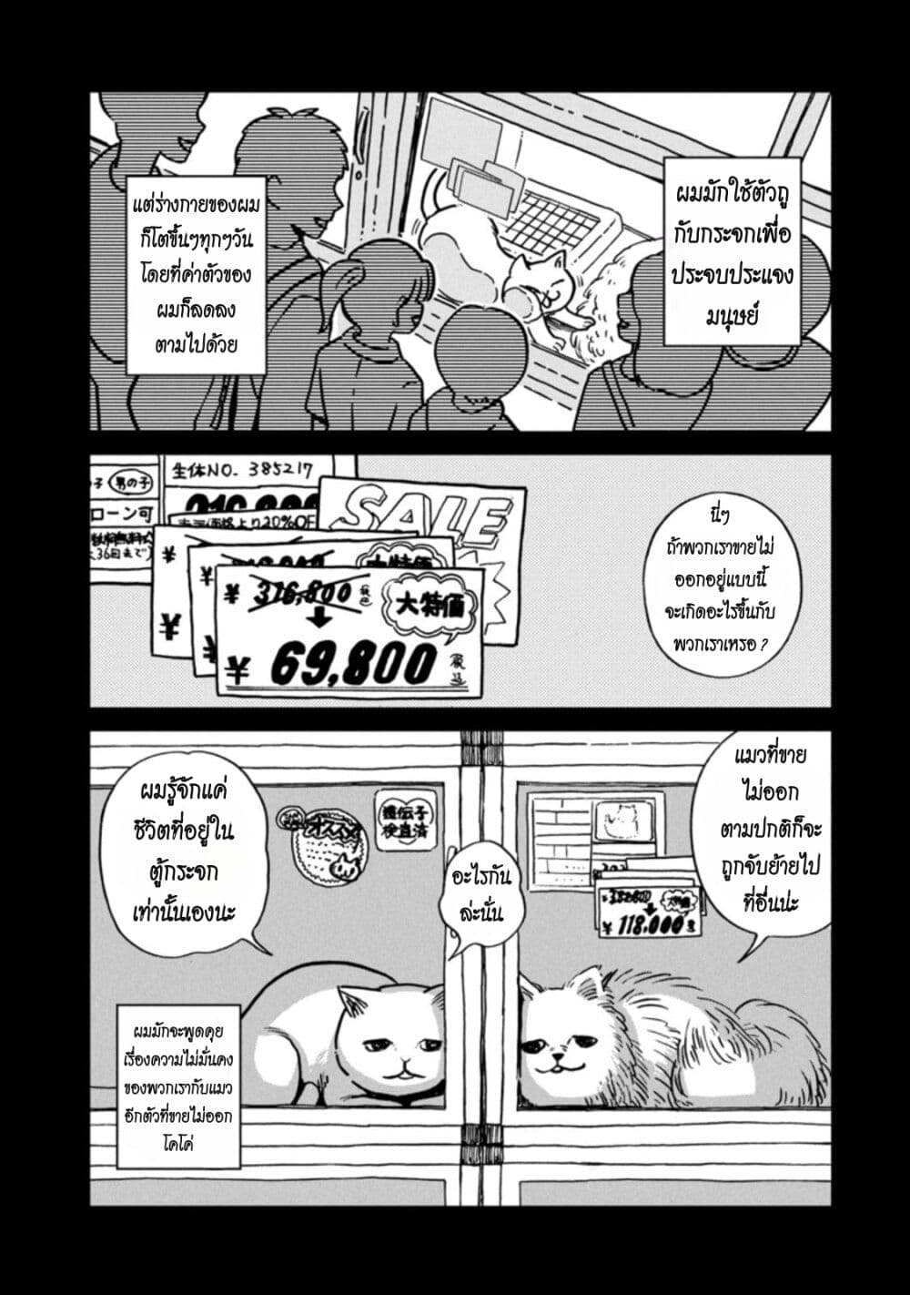Tsureneko – Maruru to Hachi 1 13