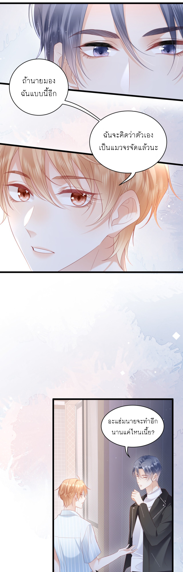 ซ่อนแอบ 24 19