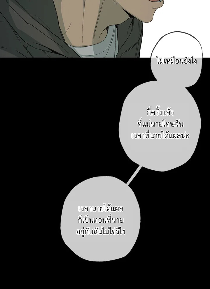 The Shape of Sympathy 47 073