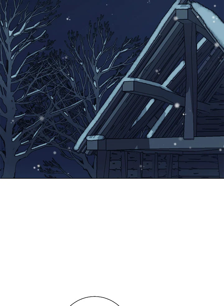 Winter Wolf 5 064