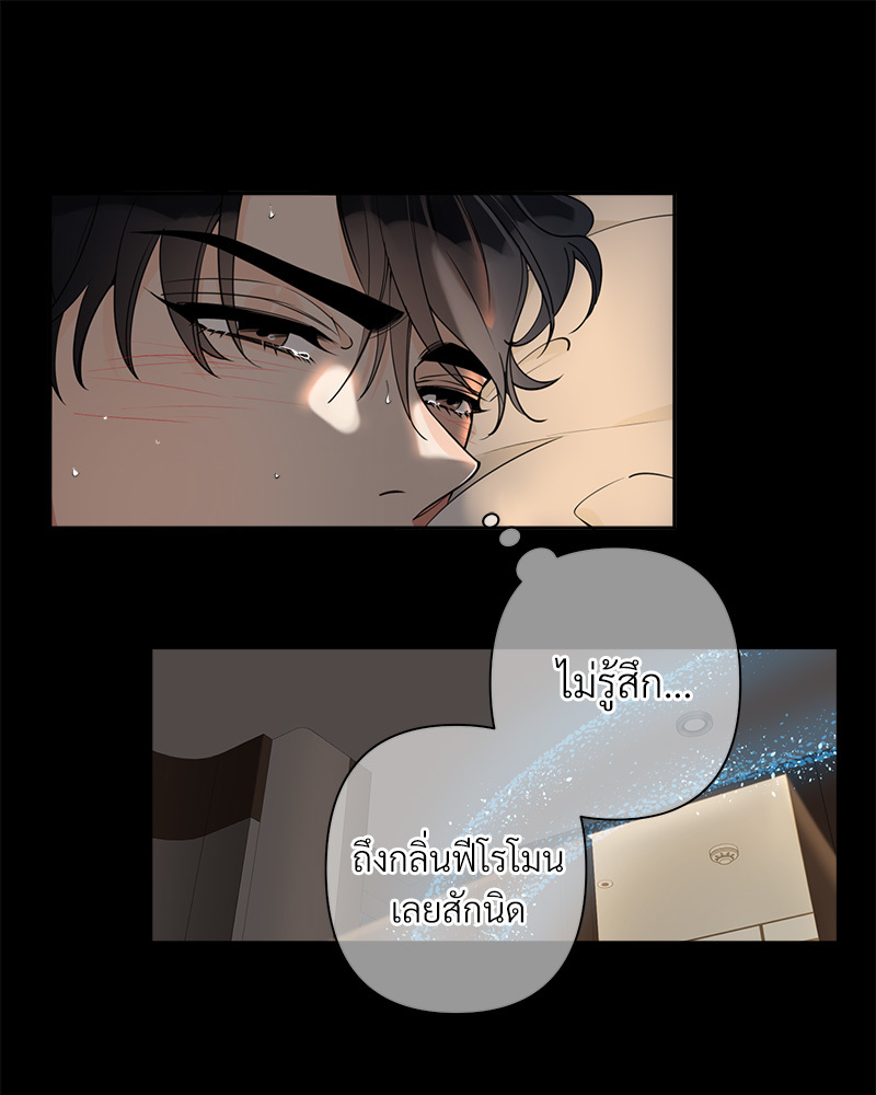 Tender Night 1 42