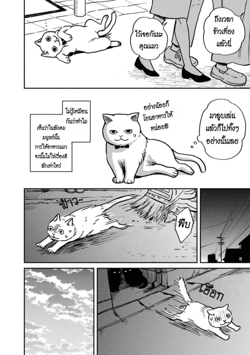 Tsureneko – Maruru to Hachi 1 11