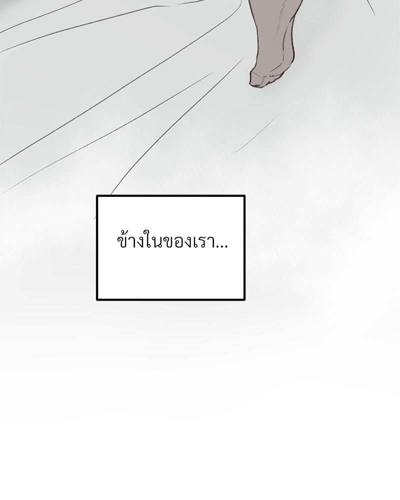 เน€เธเธ•เธซเนเธฒเธกเธฃเธฑเธเธเธเธฑเธเน€เธเธ•เนเธฒ 46 058