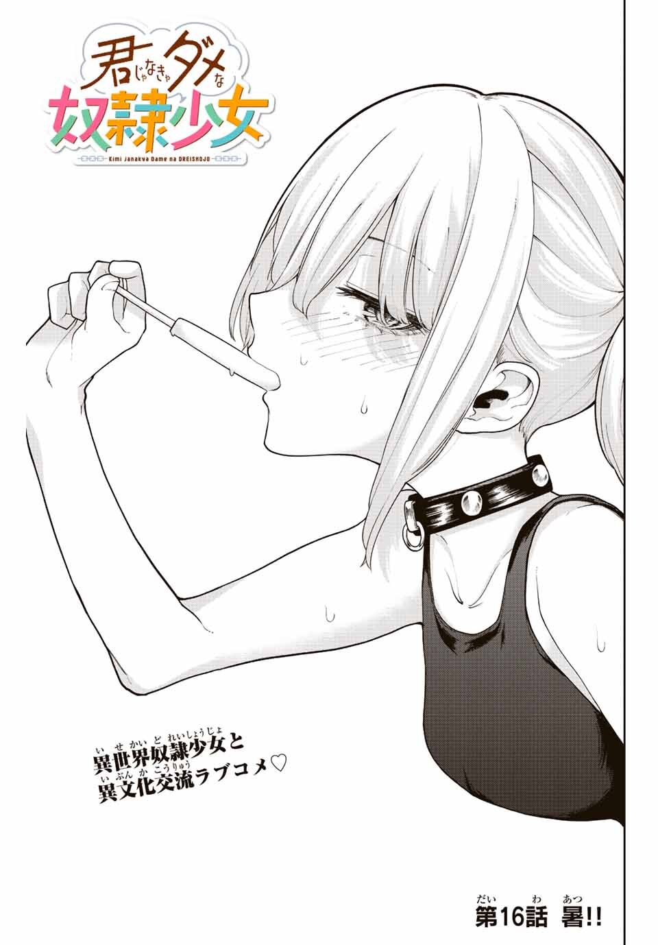 Kimi Janakya Dame Na Dorei Shoujo 16 (3)
