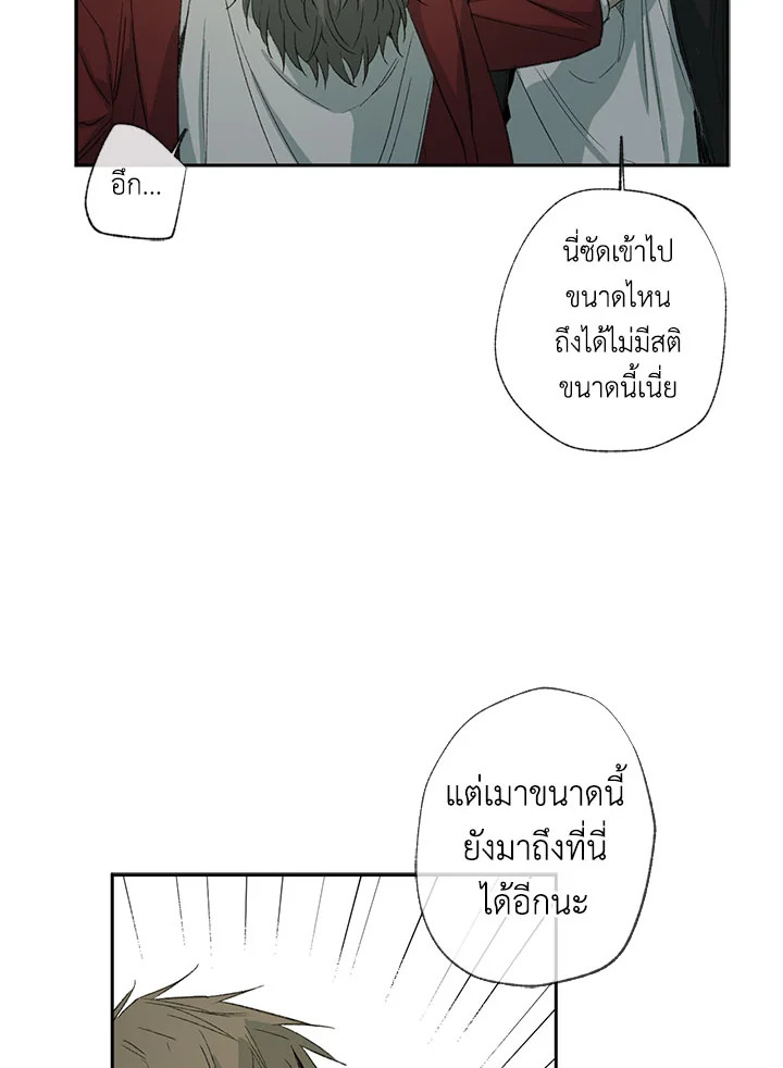 The Shape of Sympathy 22 08