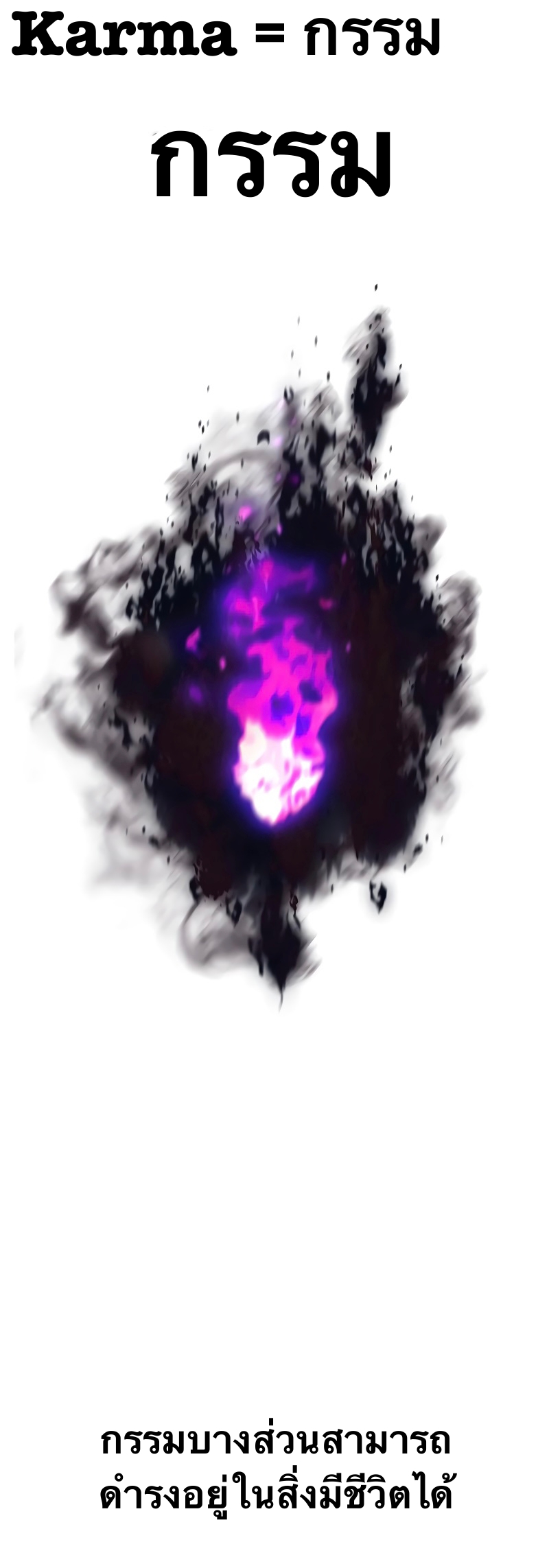X Ash 55 (30)