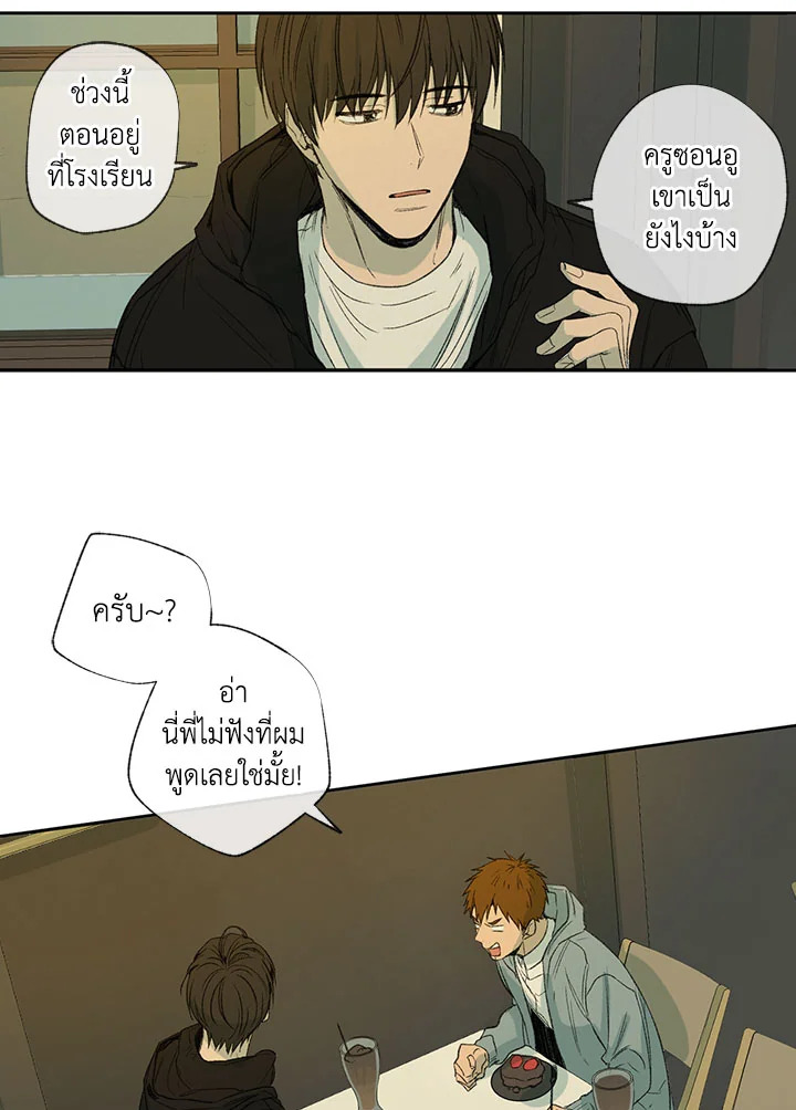 The Shape of Sympathy 33 37