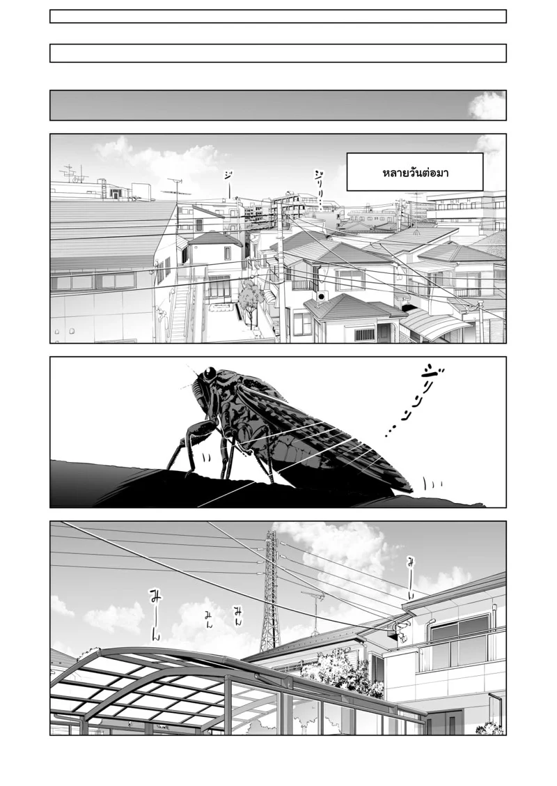 ไม่เจอพี่นานนมโตขึ้นเป็นกอง 1 13