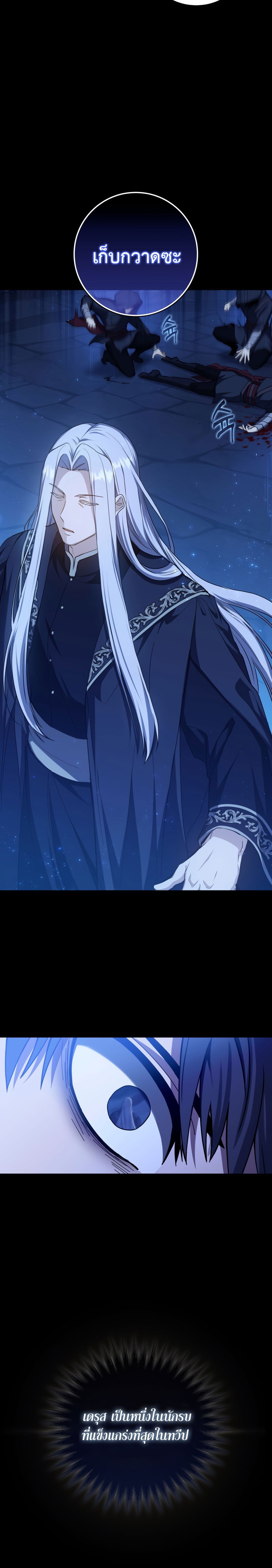 Genius Swordsman 1 (24)