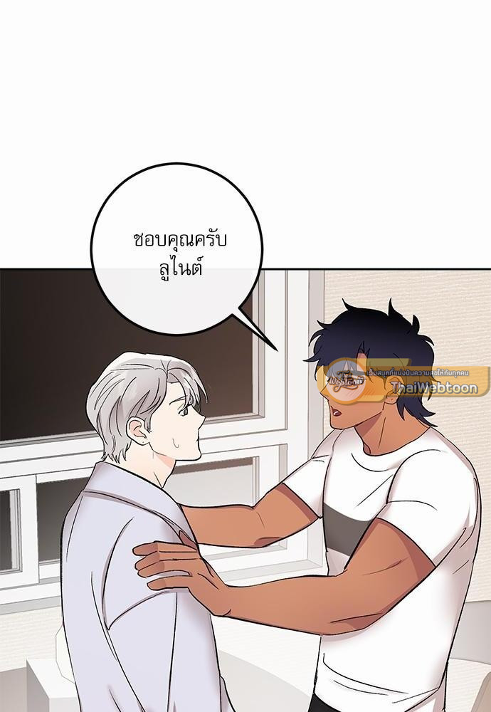 เน€เธชเธทเธญเธเธขเนเธณเธเธฑเธเธ—เธฃเน 29 66