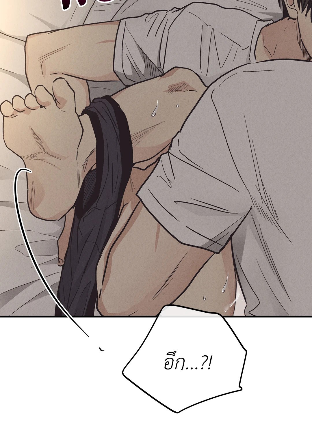 Payback 64 21