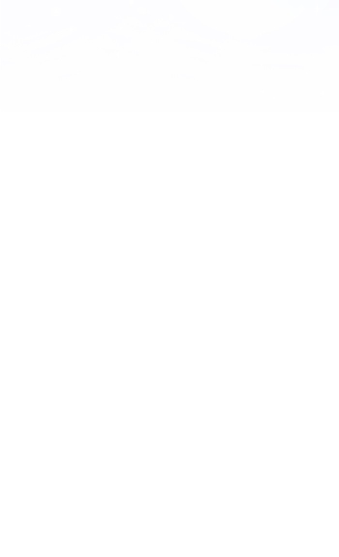 crows like shiny thing 2 13