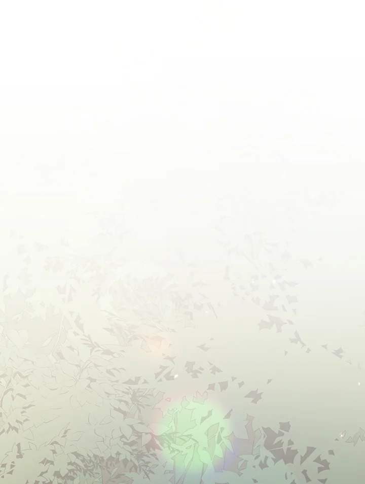 nc 127 035