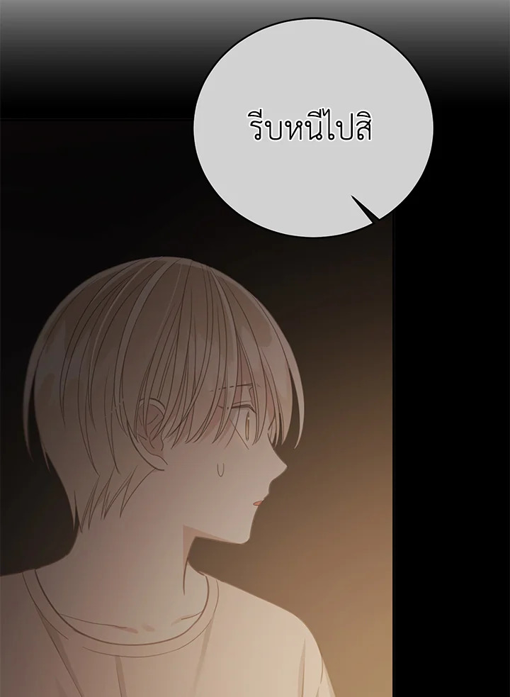 Shuffle 82 78