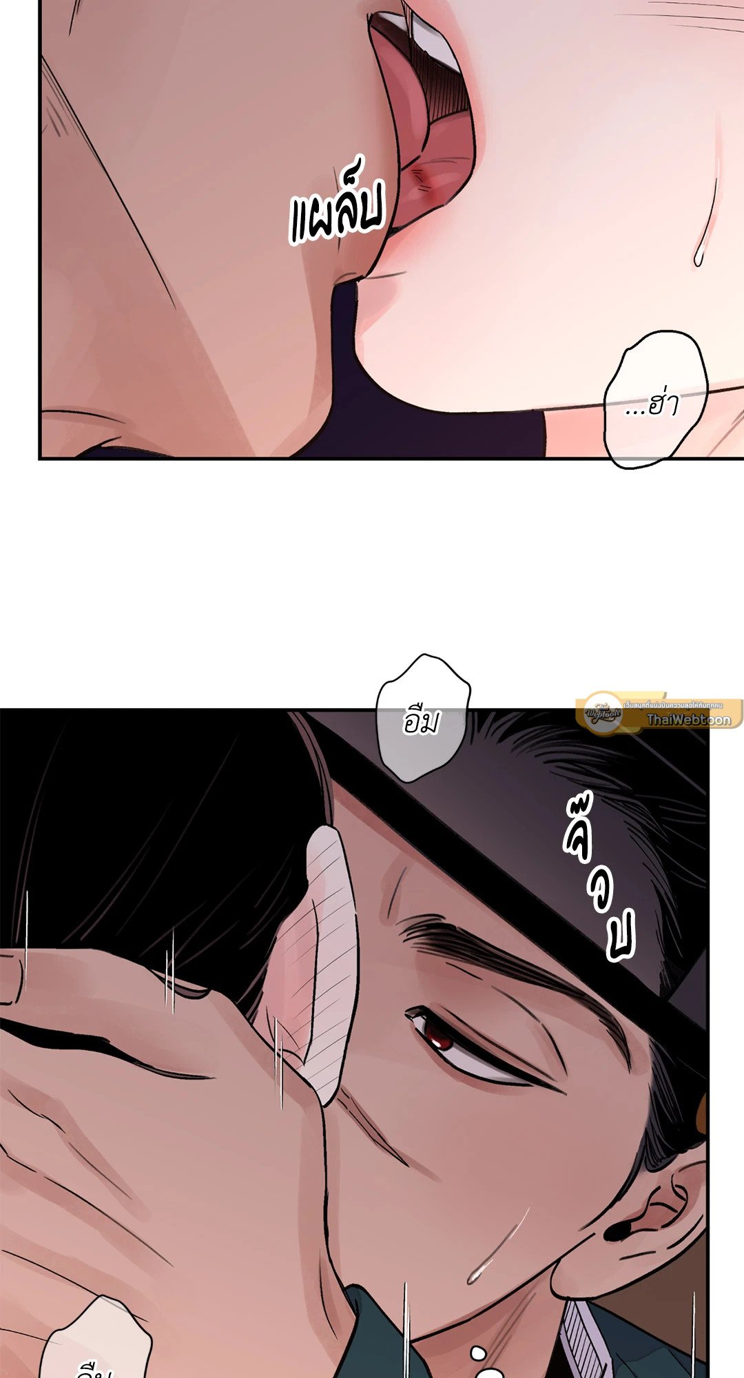 บุปผาซ่อนดาบ 22 41