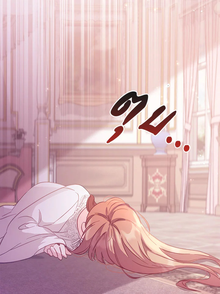 No Place for the Fake Princess 4 28