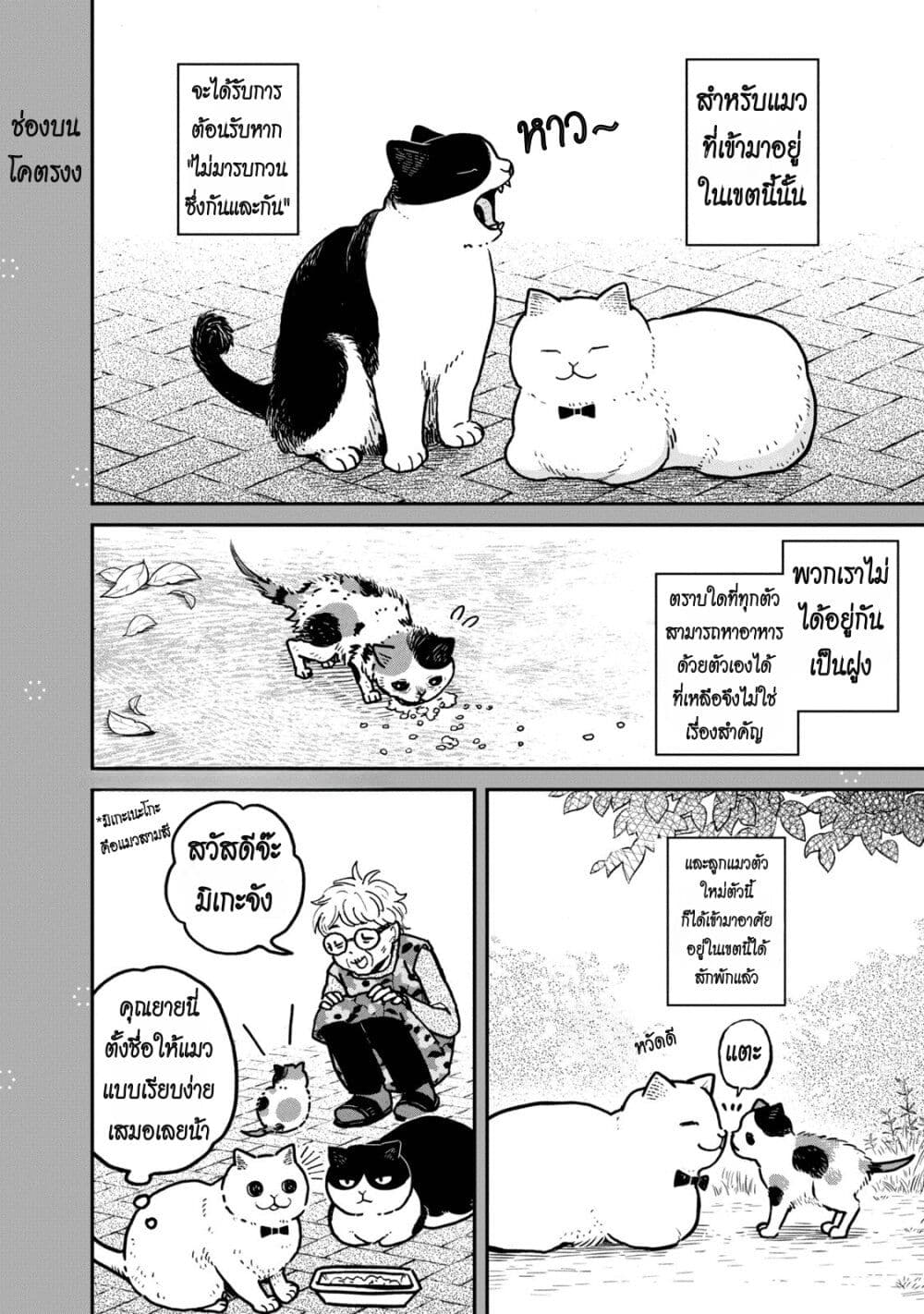 Tsureneko – Maruru to Hachi ตอนที่ 3.5 (2)