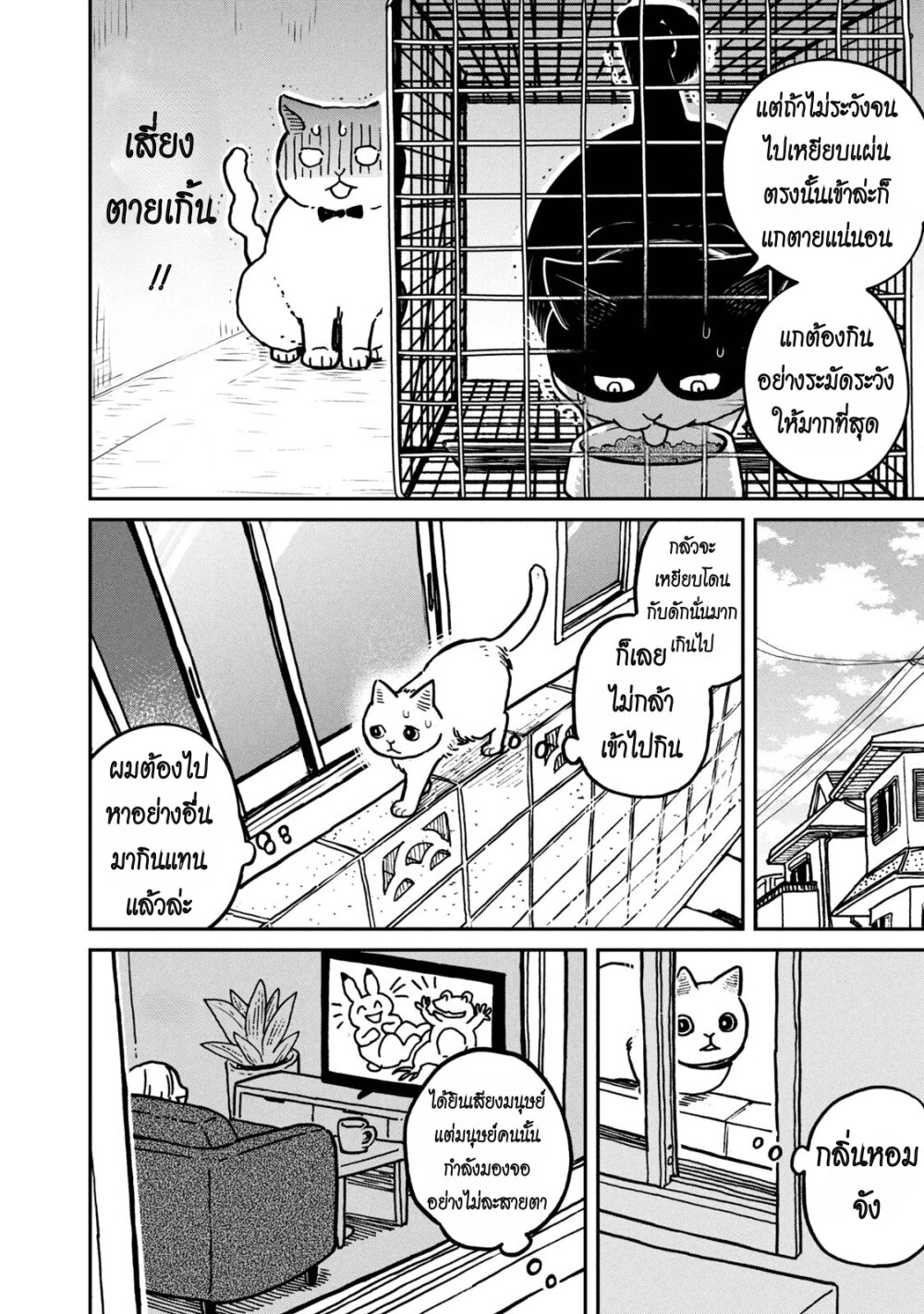 Tsureneko – Maruru to Hachi 2 12
