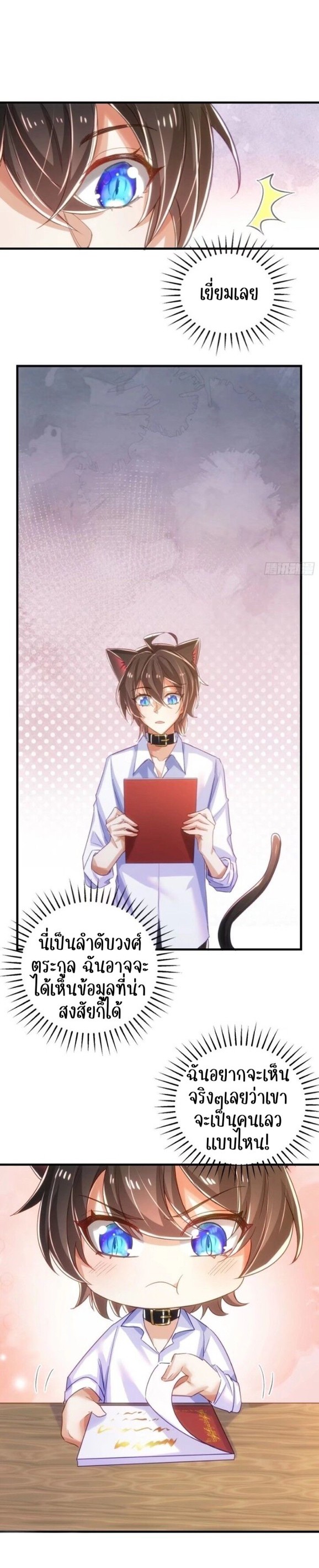 ความชอบของเหล่าจอมพลหมาป่า 12 06