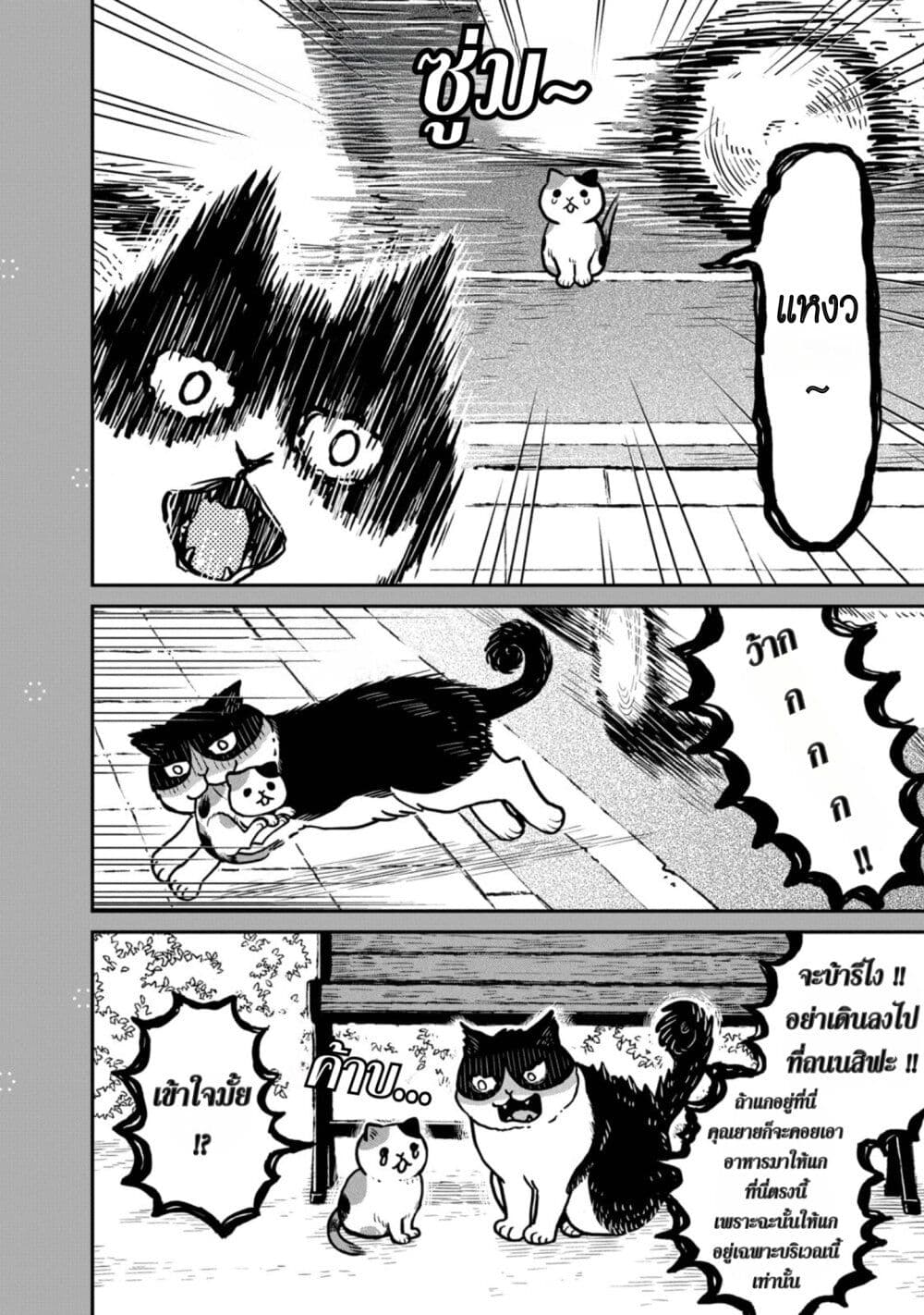 Tsureneko – Maruru to Hachi ตอนที่ 3.5 (4)
