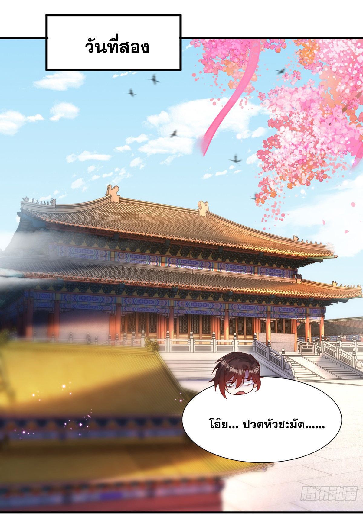 Opening System To Confession Beautiful Master 22 (3)