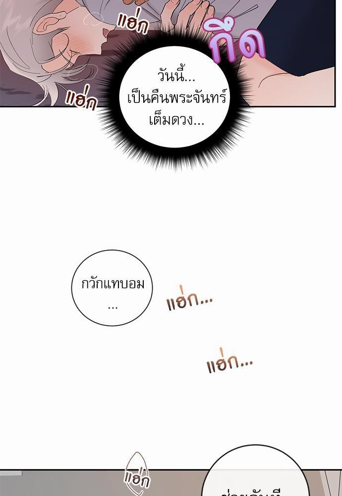 เสือขย้ำจันทร์ 20 67