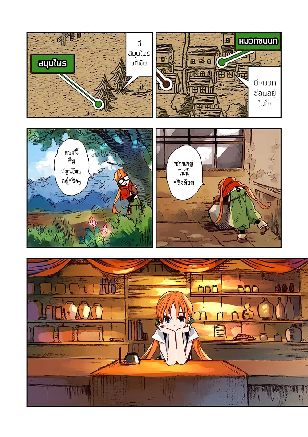 I Picked Up This World’s Strategy Guide! ตอนที่ 1 (14)