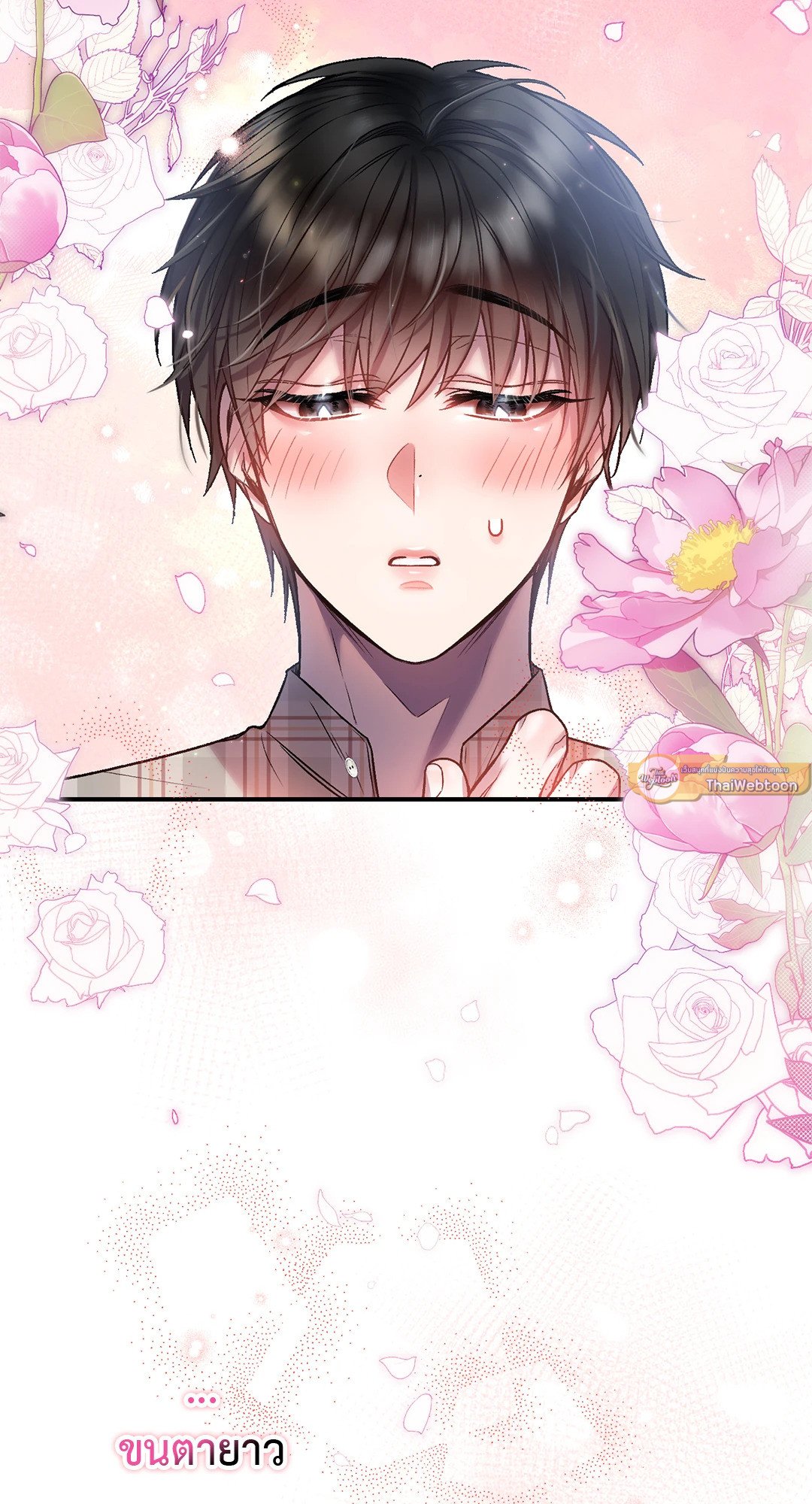 Sugar Rain 14 43