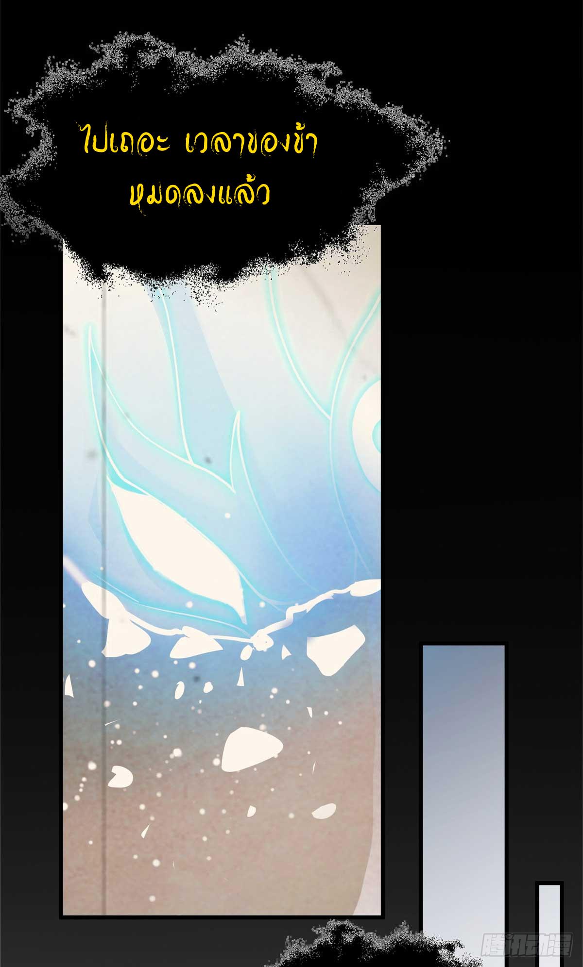 astral pet store 113.58