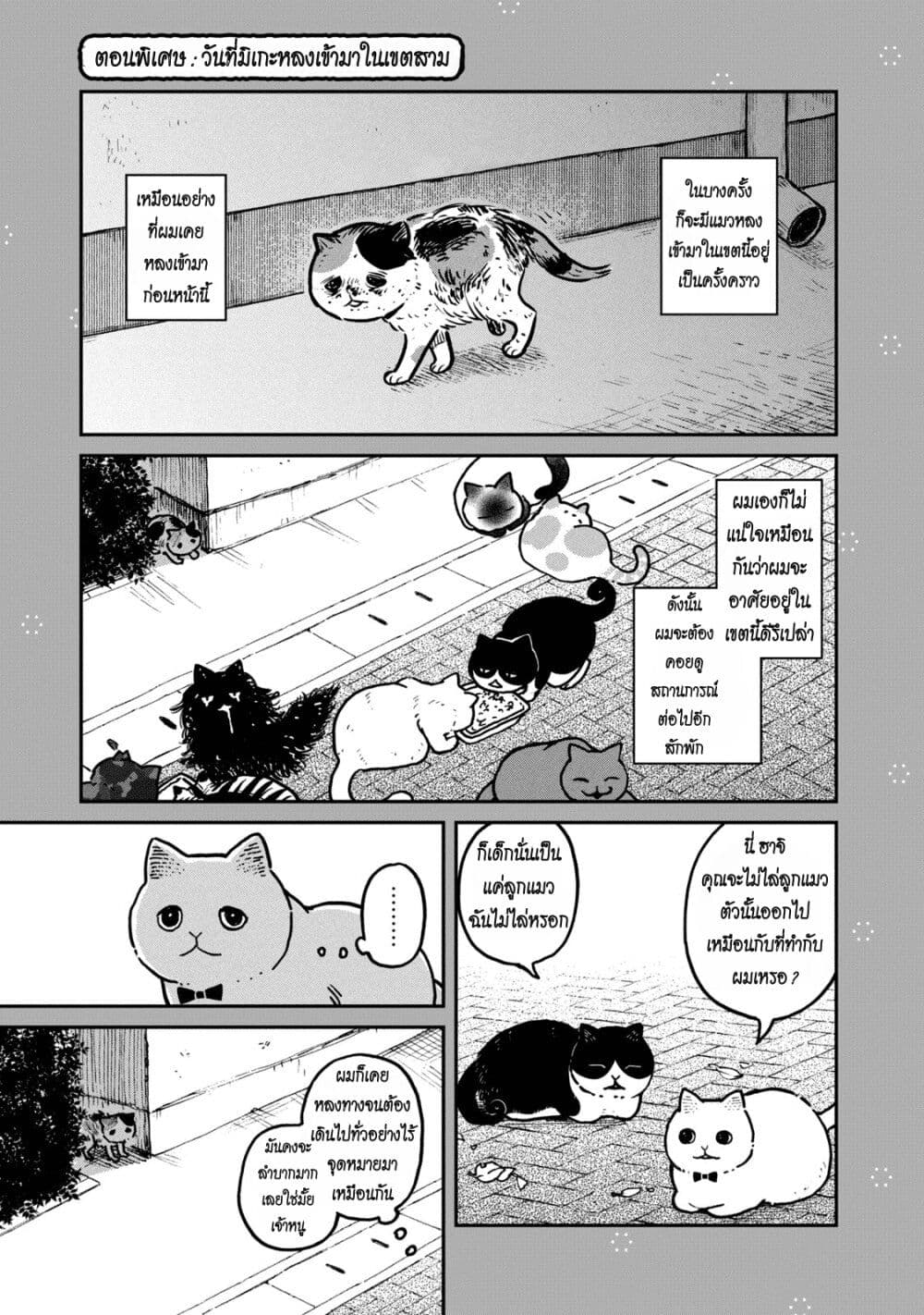 Tsureneko – Maruru to Hachi ตอนที่ 3.5 (1)