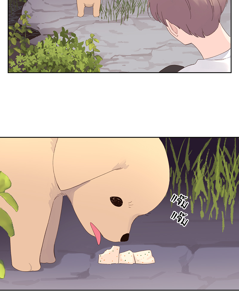 4 Week Lovers แฟนกัน 4 สัปดาห์ 84 33