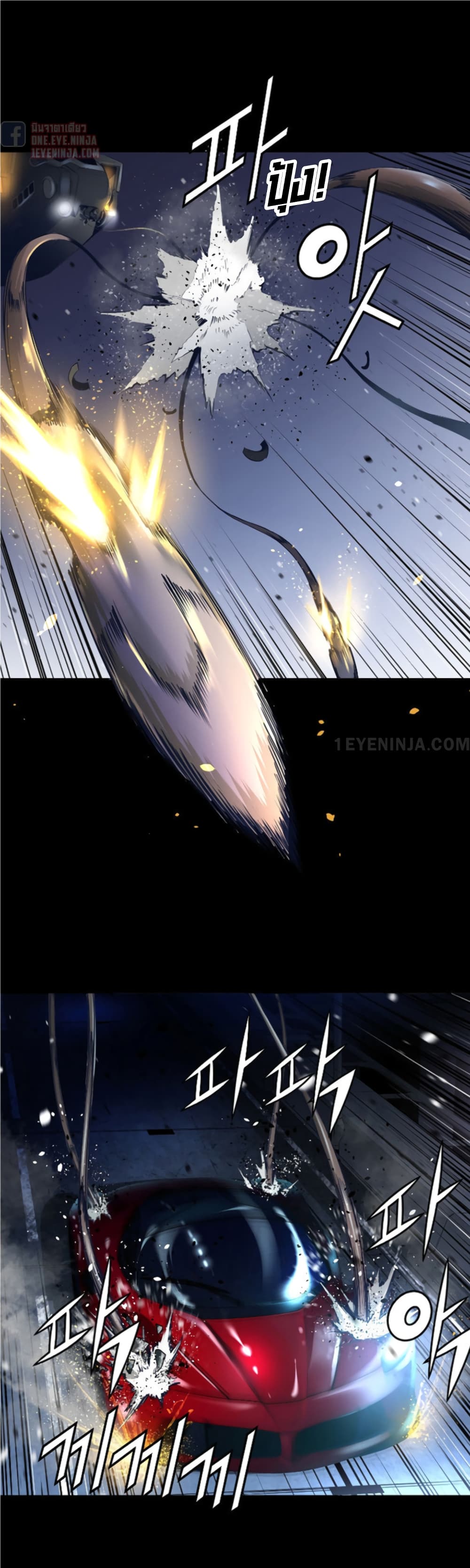 Trinity Wonder 43 07