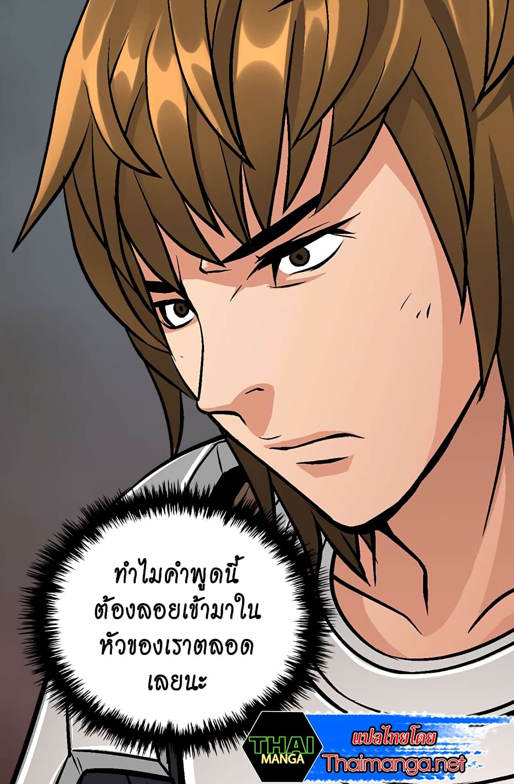 Dimensional Mercenary 11 (21)