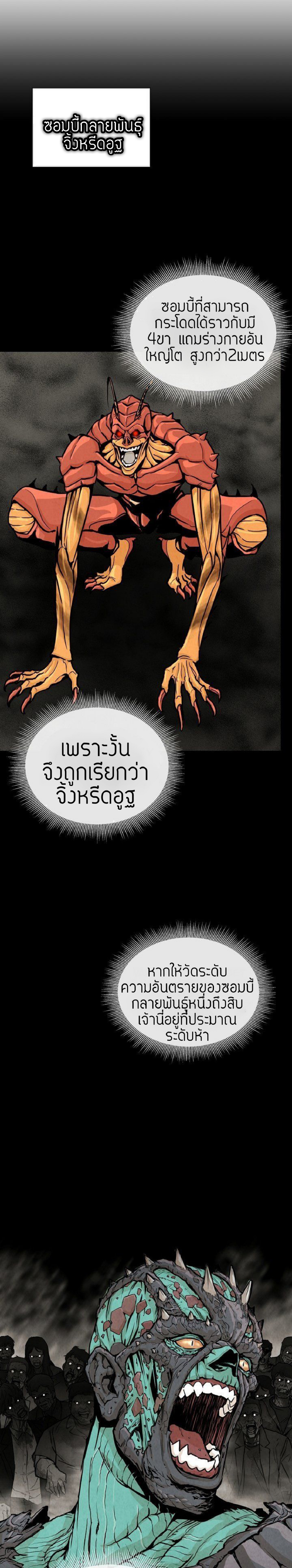 Return Survival 27 20